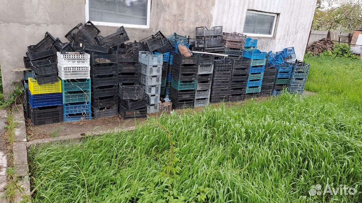 Пластиковые ящики бу