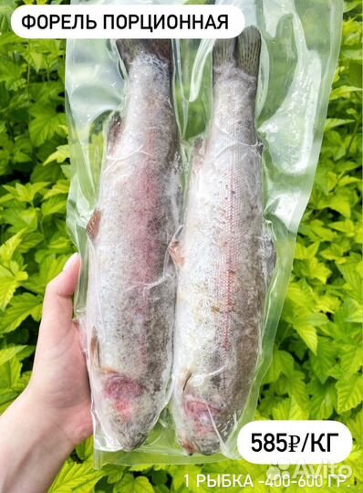 Форель порционная