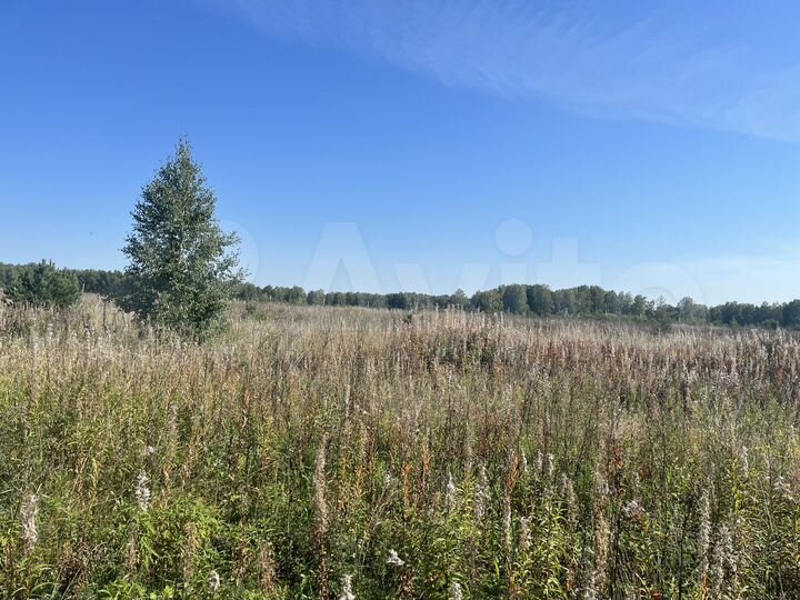 Участок 75 сот. (СНТ, ДНП)