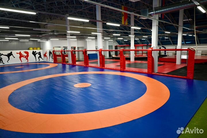 Тренировки по мма