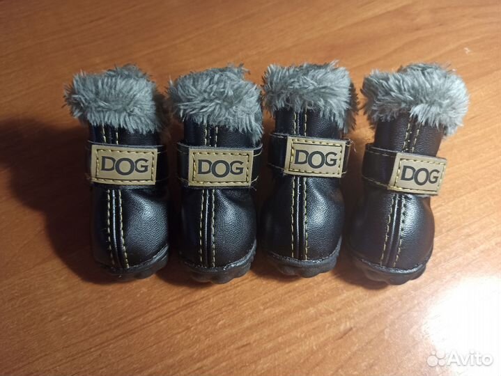 Зимние ботинки и носки для собак