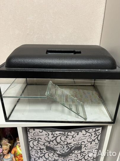 Террариум для рептилий