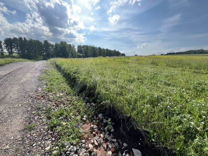 Участок 14,5 сот. (ИЖС)