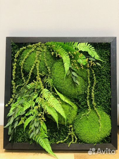Картина натуральный мох