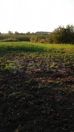 Дом 92,9 м² на участке 50 сот.