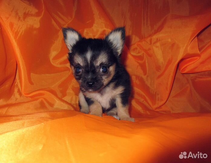 Кукольный супер-мини мальчик и девочка