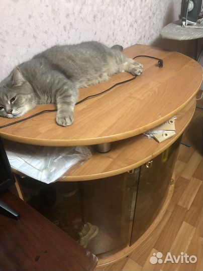 Тумба под телевизор