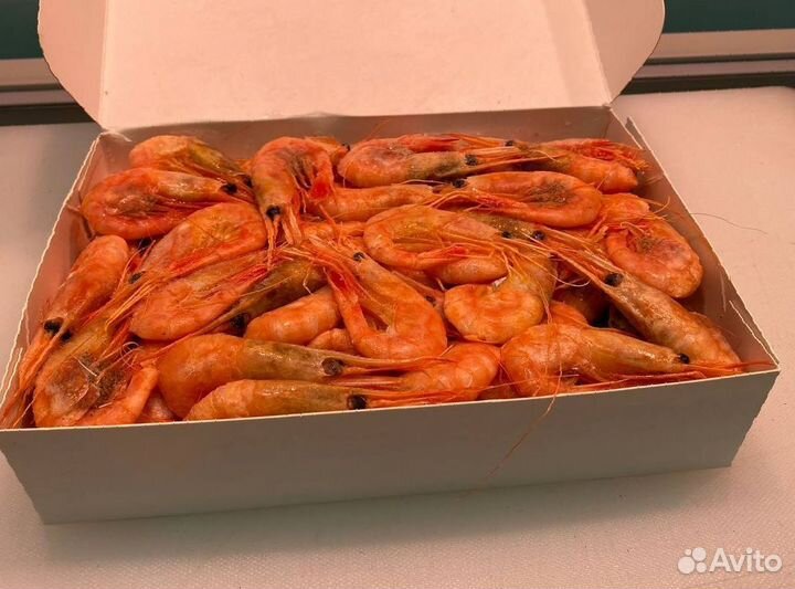 Креветка северная. Улов 2023. Без посредников