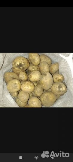 Картофель деревенский