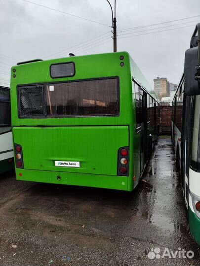 Городской автобус МАЗ 103, 2011