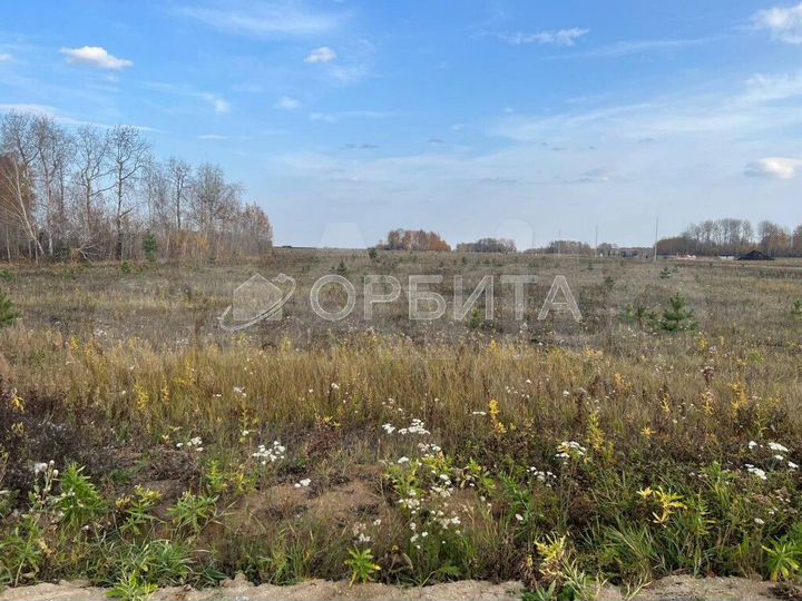 Участок 10,5 сот. (СНТ, ДНП)