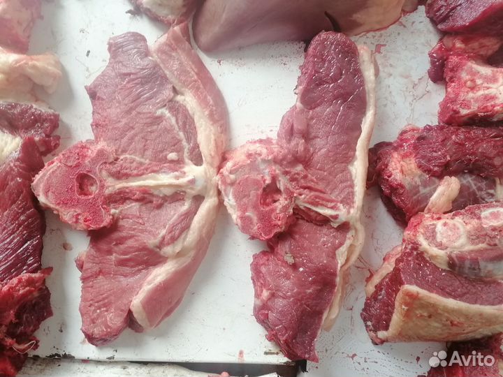 Мясо конина (от 12.11.23