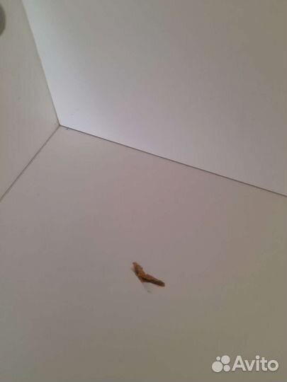 Пеленальный комод икеа Стува