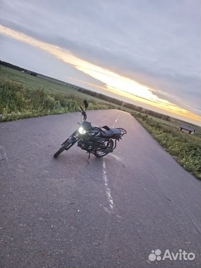 Продам альфу чамп RS12