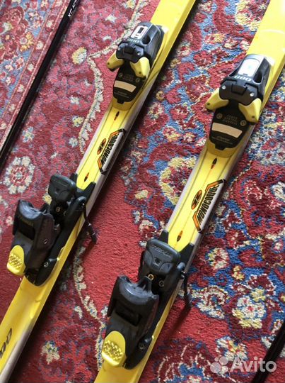 Горные лыжи