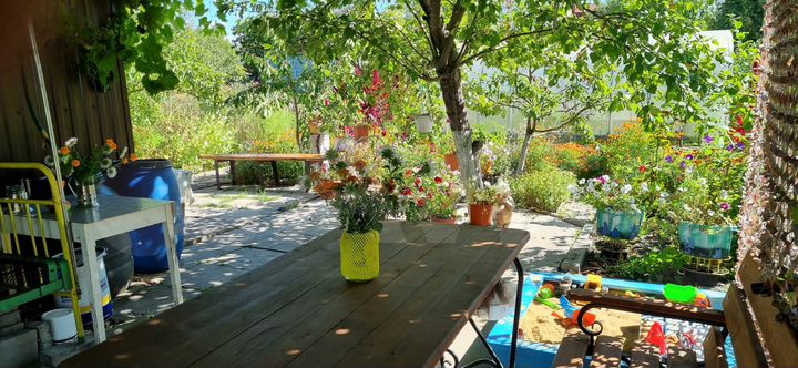 Дача 43,8 м² на участке 4 сот.