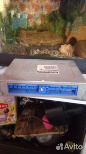 Трамблёр Блок управления двигателем