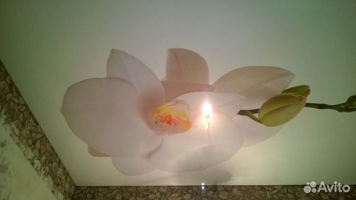 Натяжные потолки