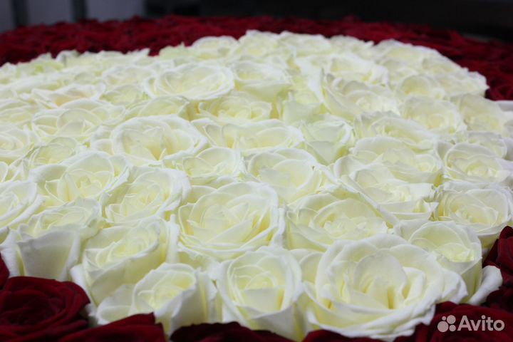 Заказ цветов