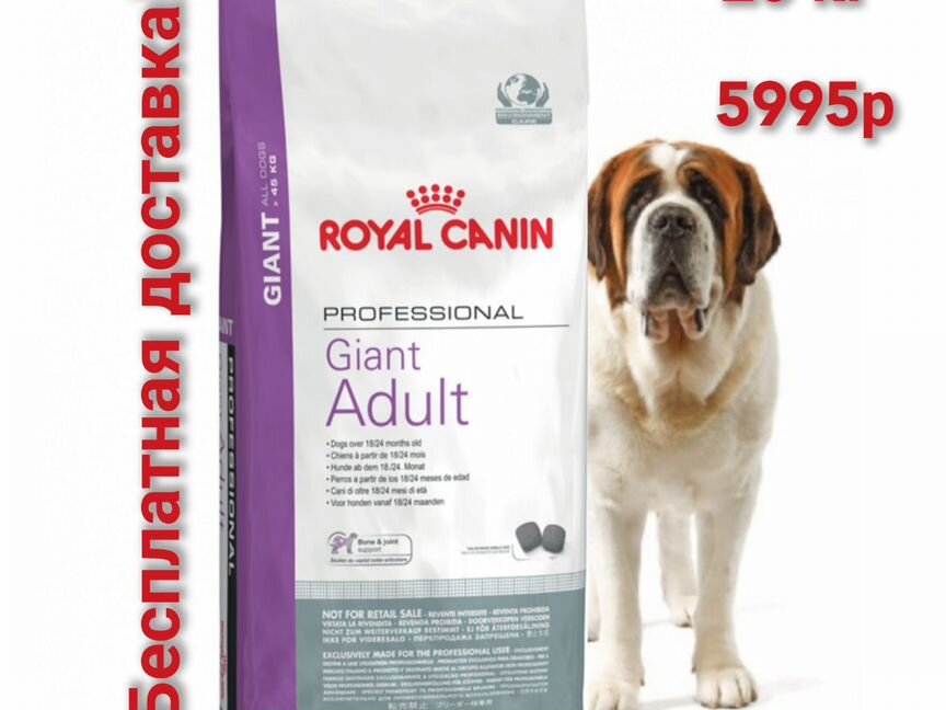 Роял Канин Giant Adult Royal Canin