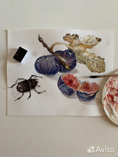 Художник/иллюстратор/дизайнер