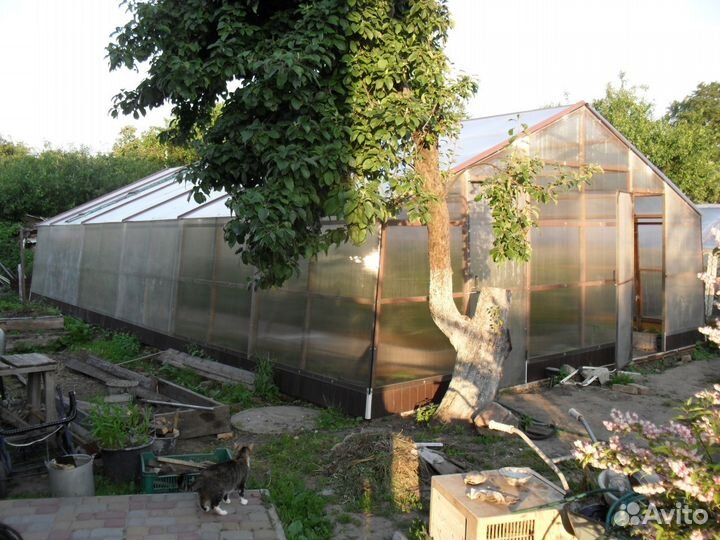 Теплица бу