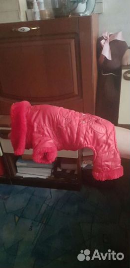 Ожежда для животных