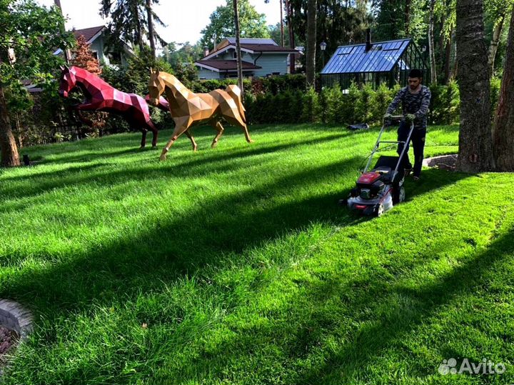 Рулонный газон