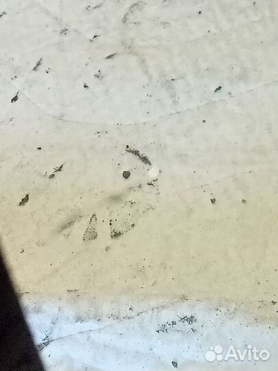 Лобовое стекло на toyota raize