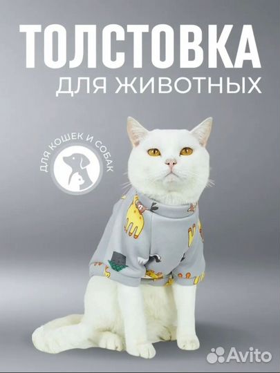 Толстовка для животных новая