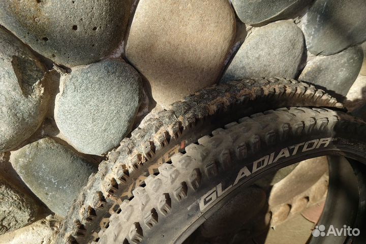Покрышки Chaoyang gladiator
