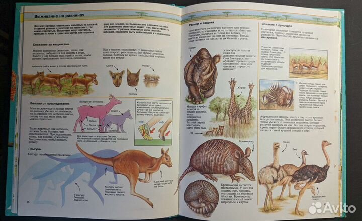 Детская энциклопедия 