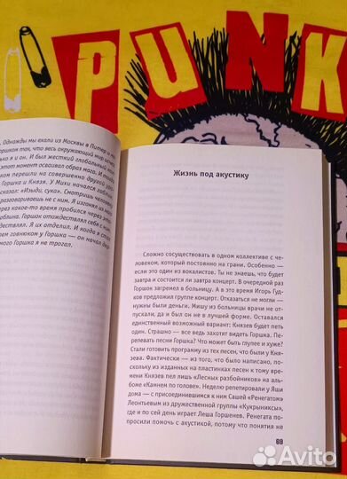 Ангелы панка книга Либабова король и шут