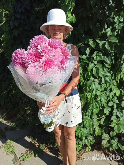 Георгины срезка и клубни