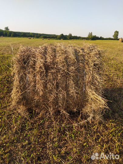 Сено в рулонах