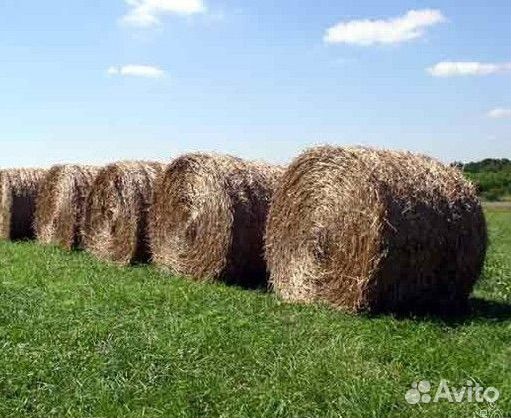 Сено в тюках