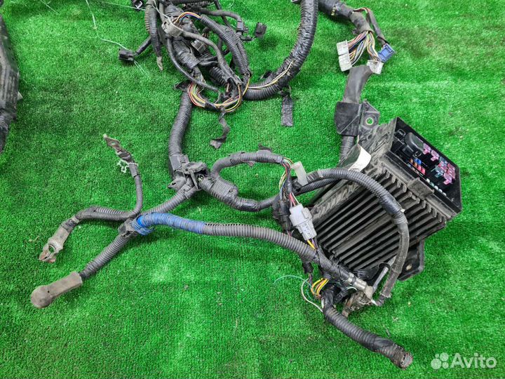 Проводка двигателя MCU15 1mzfe Toyota Lexus