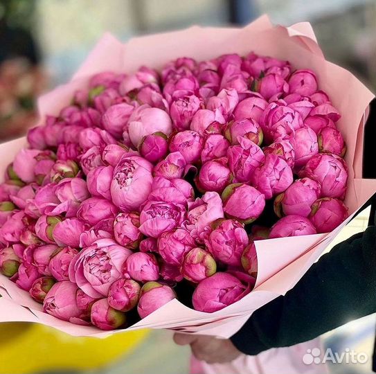 Пионы Букет