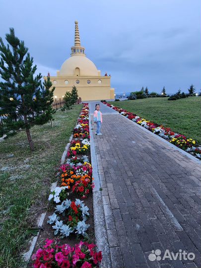 Иволгинский дацан. Ринпоче Багша. Экскурсия