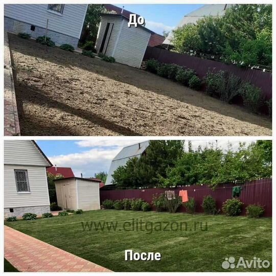 Укладка газона