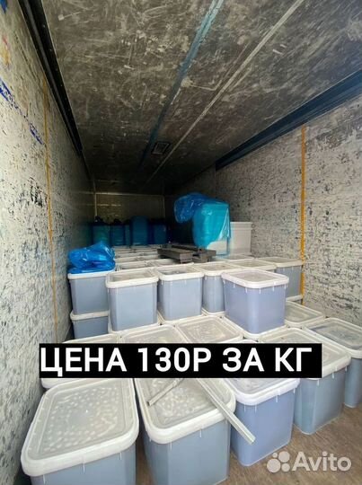 Оптом Мед с Алтая