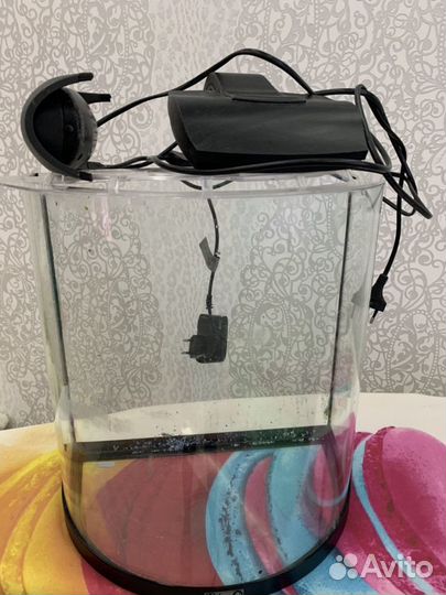 Аквариум и приложение