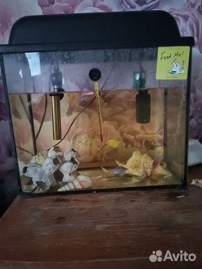 Аквариум с рыбками