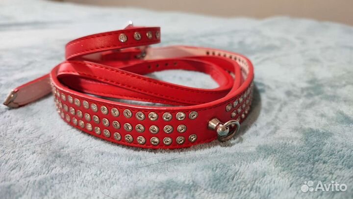 Ошейник + поводок для собаки