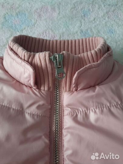 Куртка демисезонная Colin's