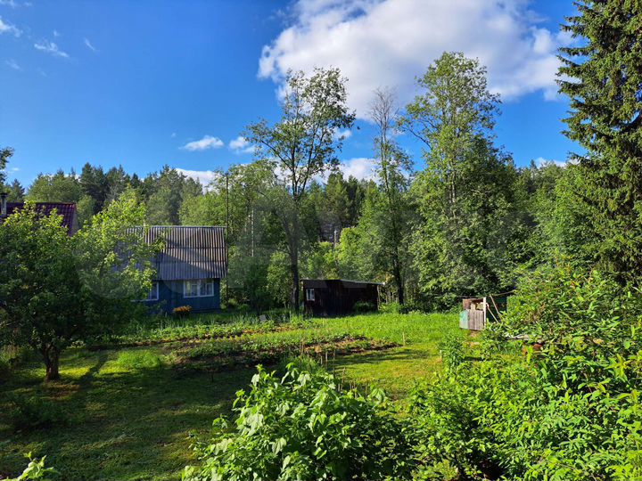 Дом 36 м² на участке 8 сот.