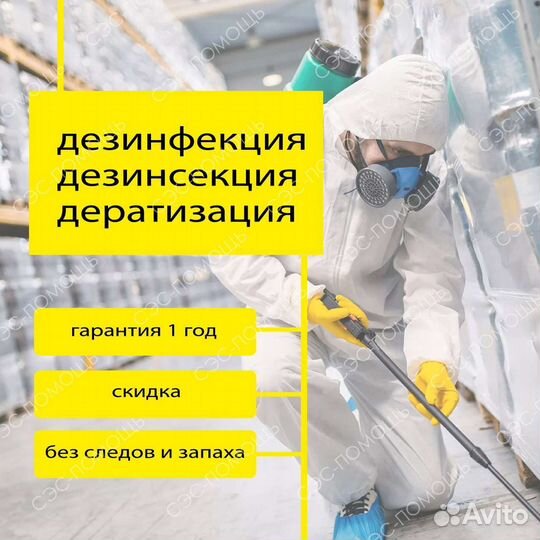 Уничтожение тараканов клопов мышей блох плесени ос