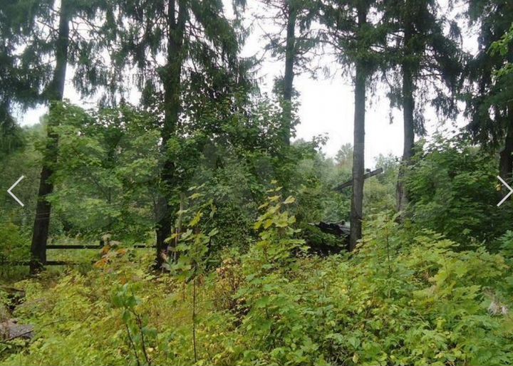 Участок 19,5 га (ИЖС)