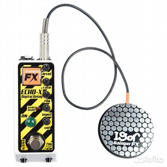 Rainger FX Echo-X w/Igor Digital Delay (Новый)