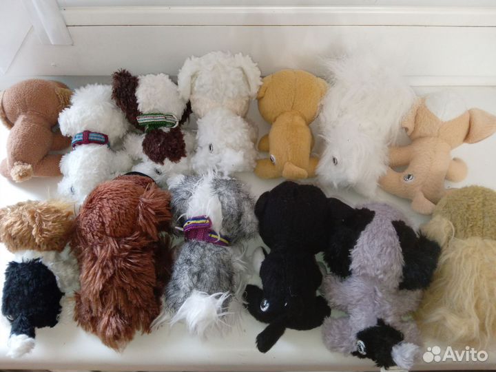 The dog collection, за всех